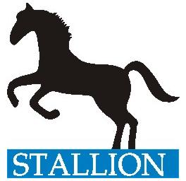 Stallion